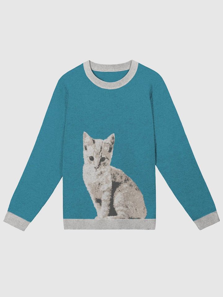 Eli Boo Whiskers & Knits Classic Crewneck product image (4)