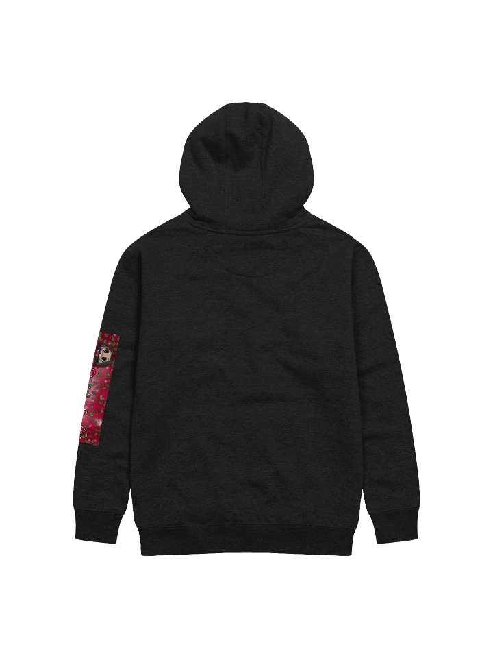 SinisterSushii Hoodie product image (16)