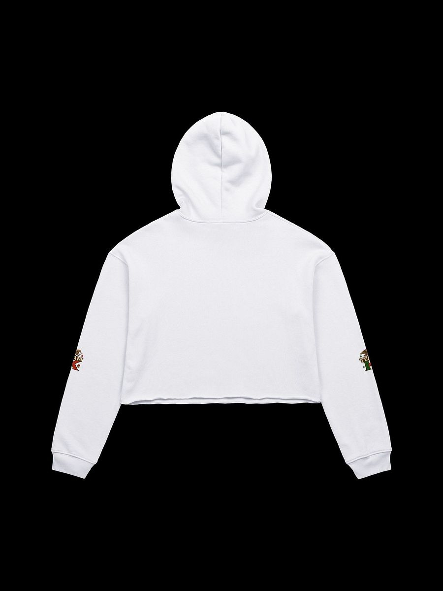 Team K Mexico Crop Hoodie product image (2)