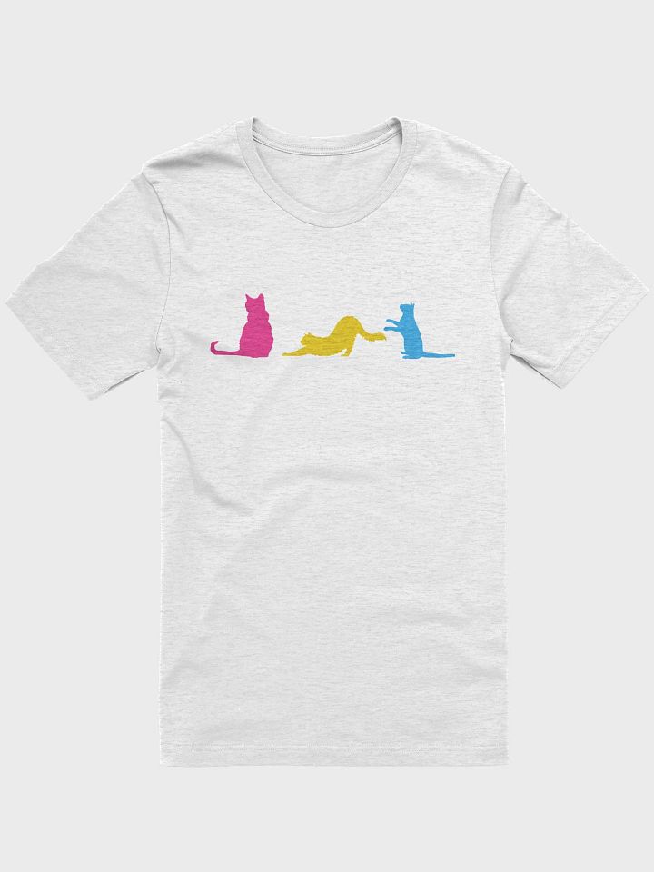 Pansexual Pride Cats Women's Shirt product image (4)