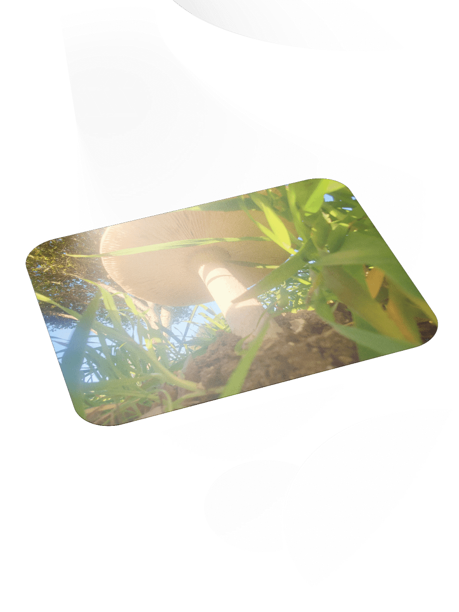 Sunlit Mushroom Mouse Pad product image (4)
