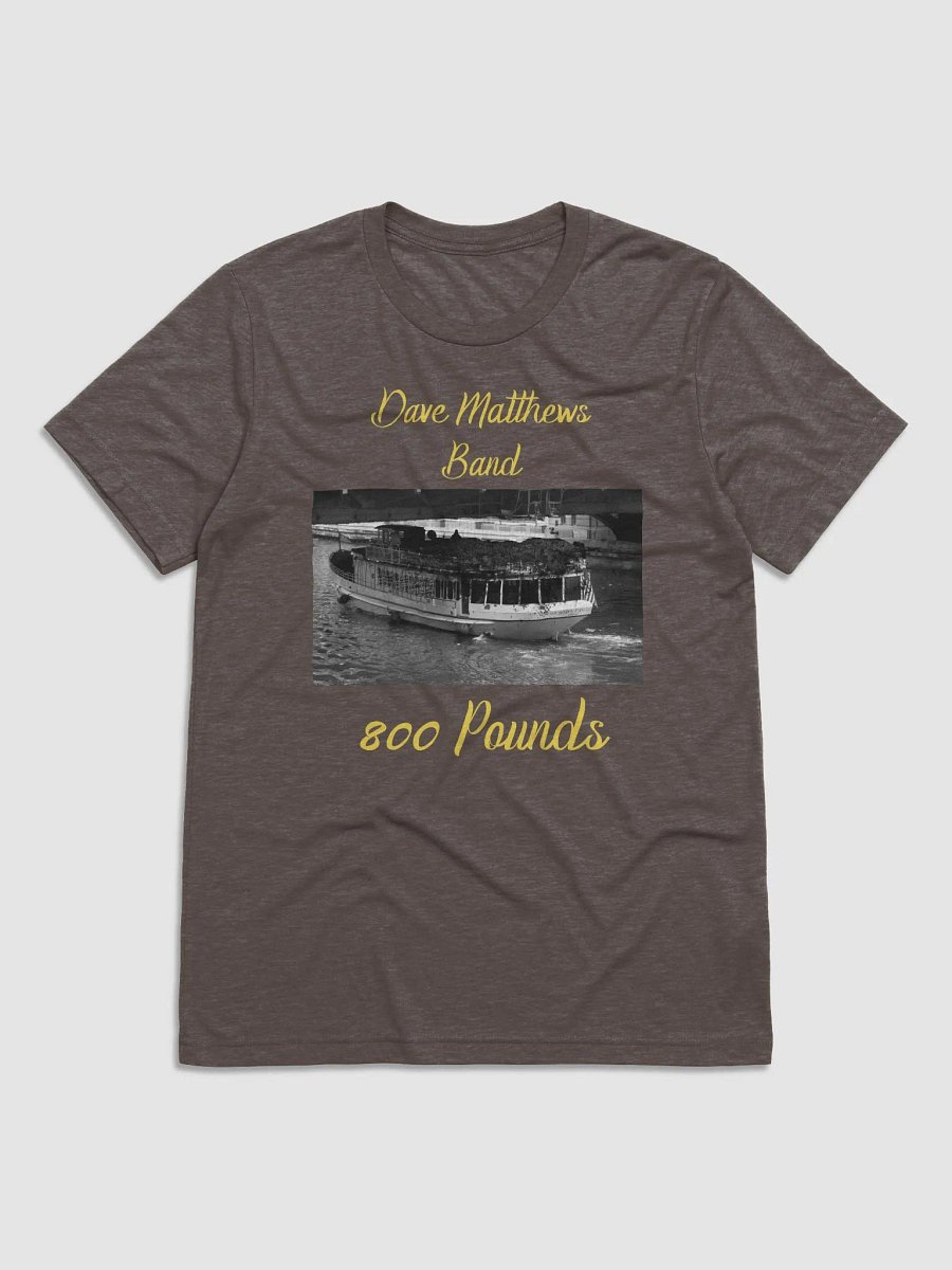 Dave Matthews Band Chicago Tour Bus Poop Incident TShirt product image (1)