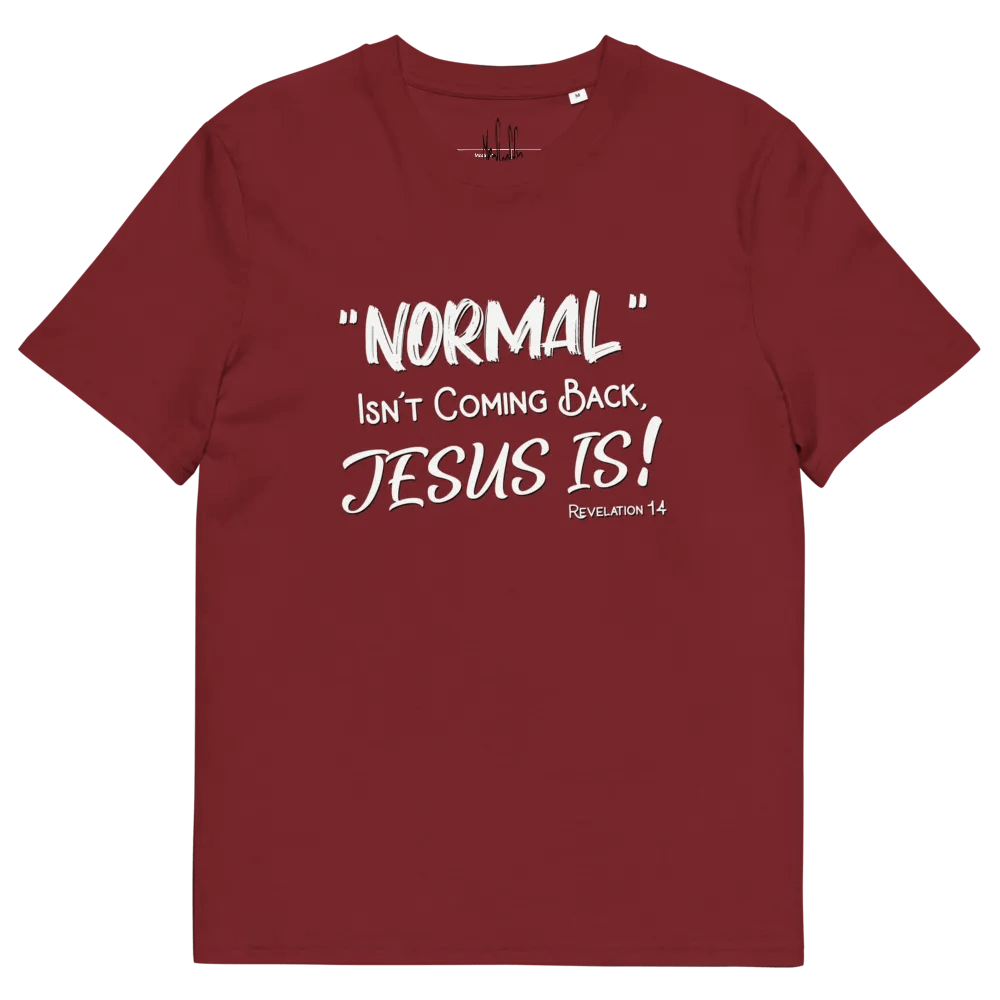 Revelation 14 | Unisex Shirt product image (10)