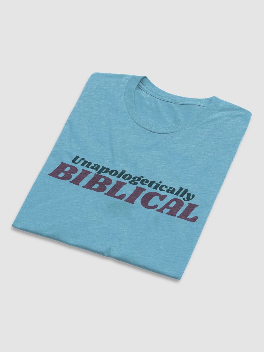Men's T-Shirt: Unapologetically Biblical (more colors available) product image (3)