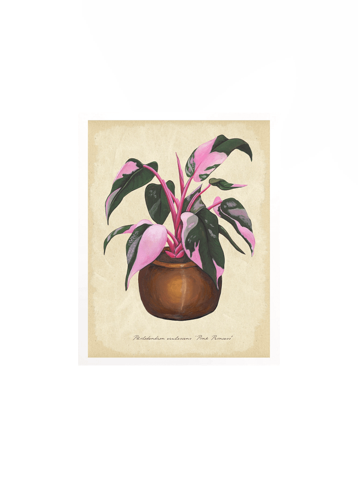 Philodendron 'Pink Princess' - Art Print product image (2)
