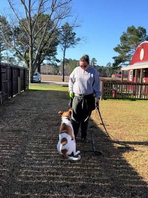 Let us help your furry friend go from RUFF to Ready with our new training service. Reach out today for all information and let’s get started with your dog’s success story. #dog #dogtraining #lumbertonnc #robesoncounty #trainingtips #new 