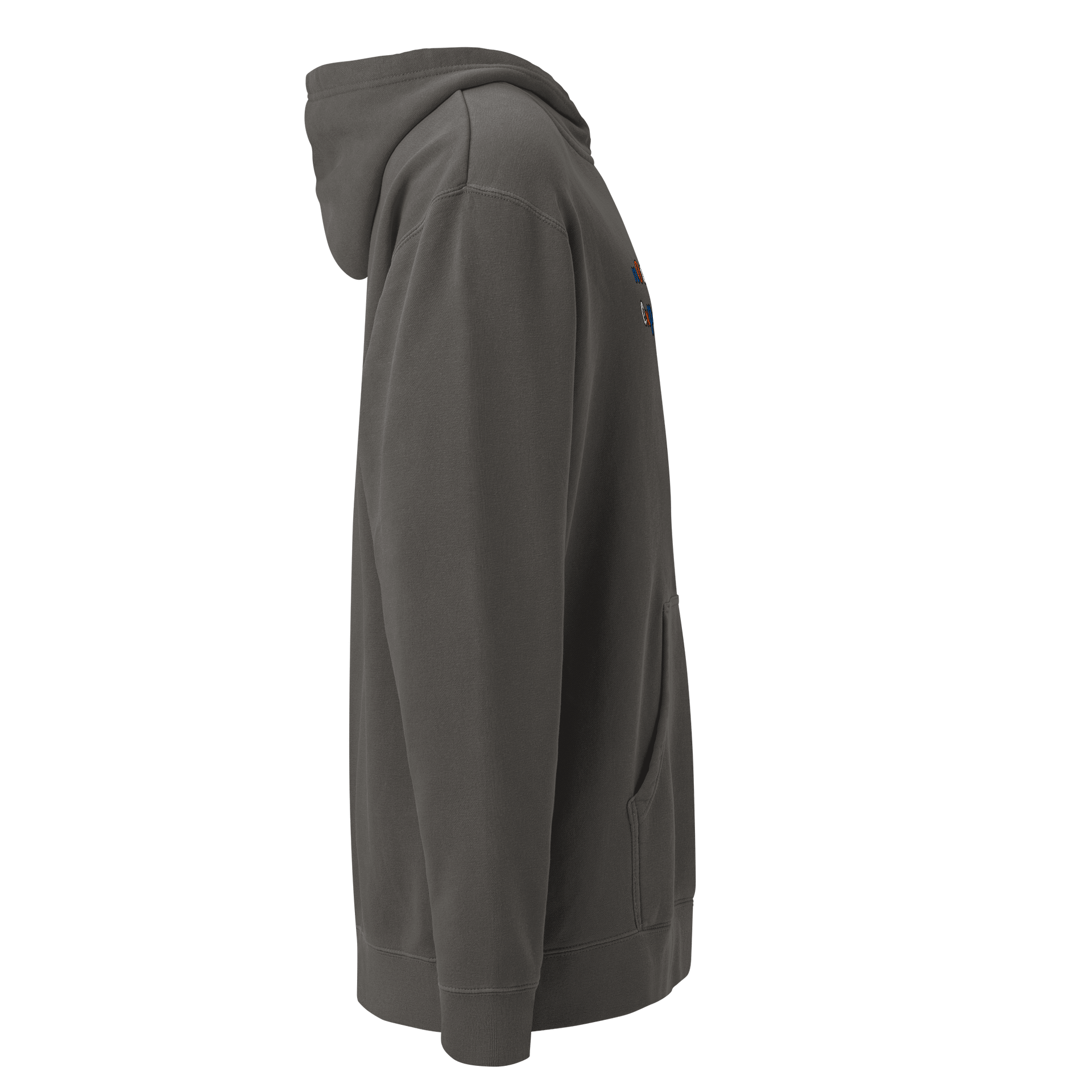 "not an expert..." Official Colour Hoodie product image (6)