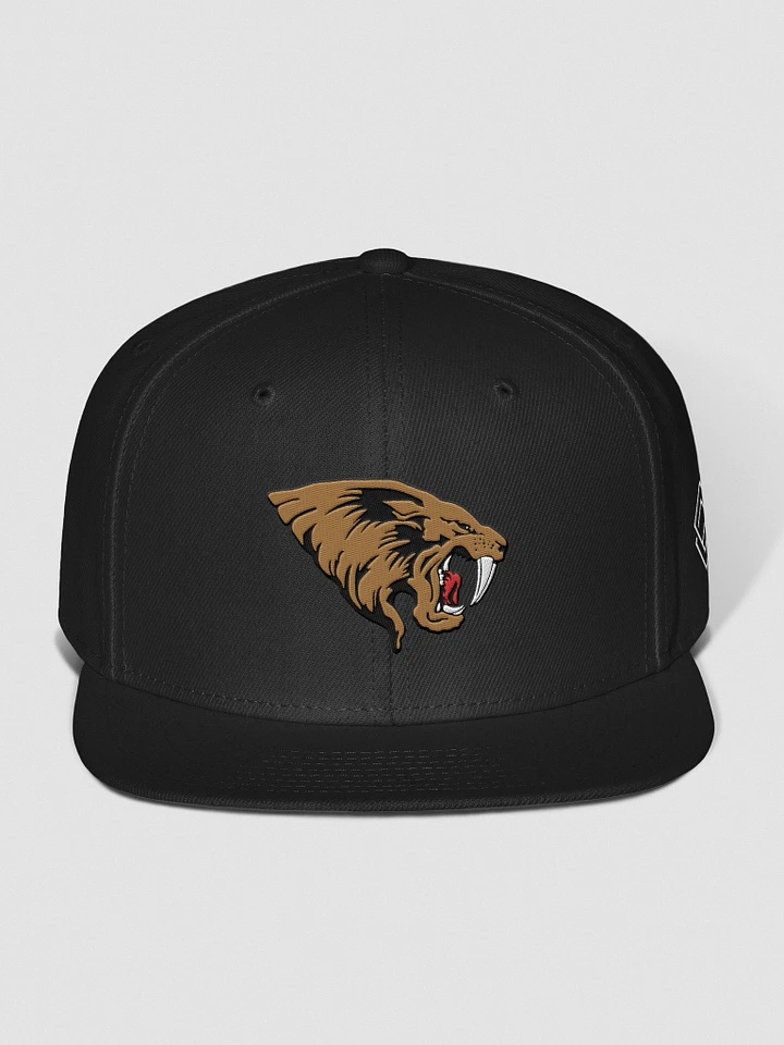 San Jose SaberCats Chosen Snapback Hat product image (2)