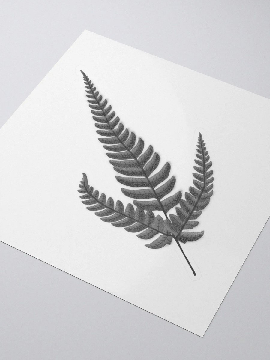 Silver Fern Sticker product image (5)