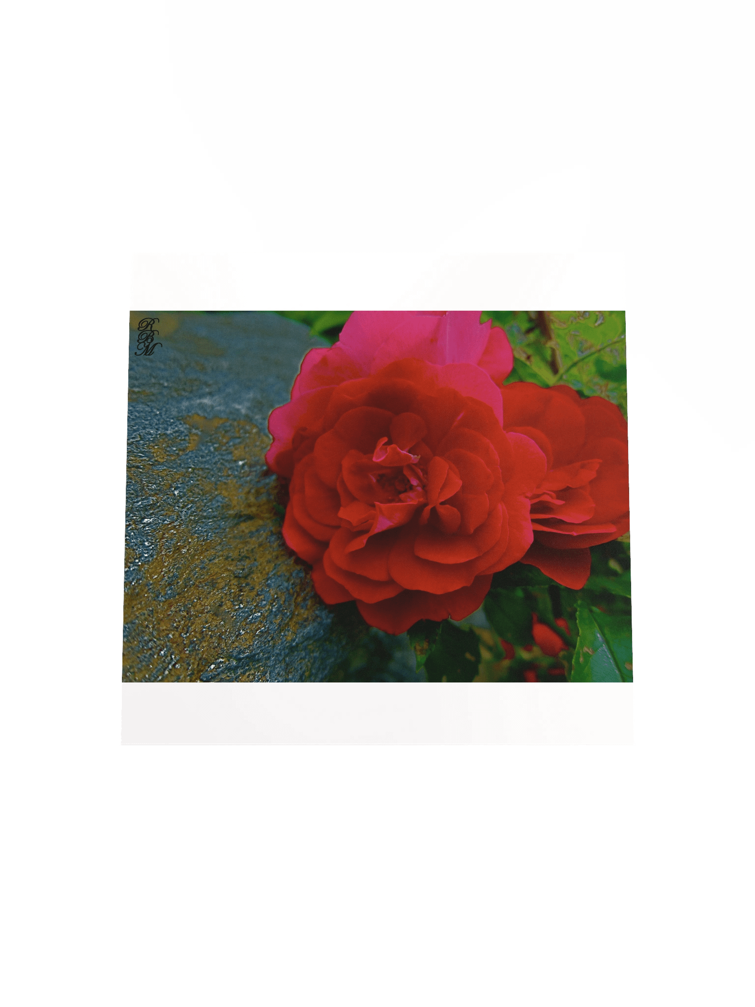 Red Flower product image (24)