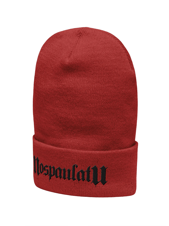 Embroidered Blackout Logo Winter Hat product image (18)