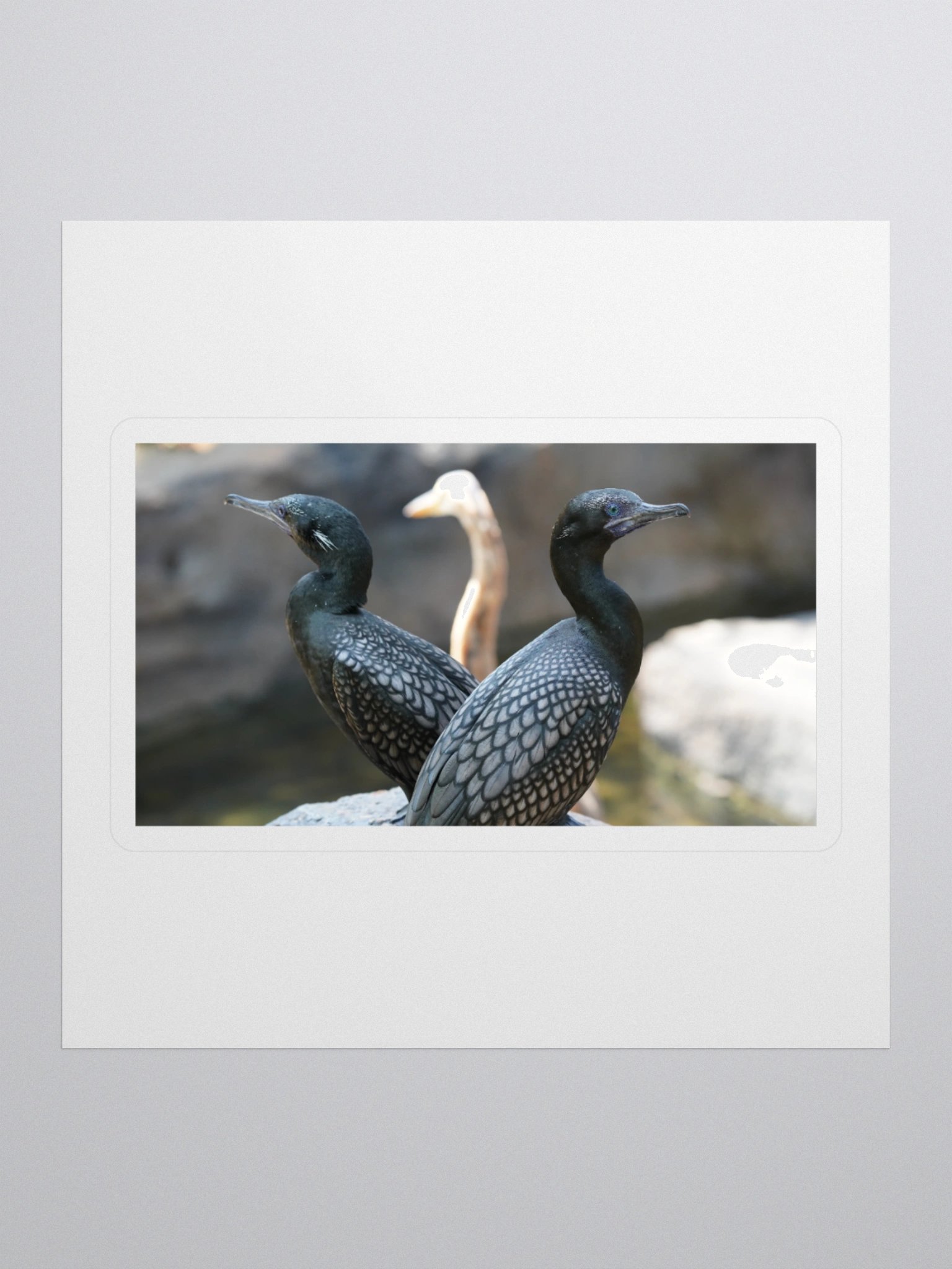 Mystic Avian Kiss Cut Stickers product image (1)