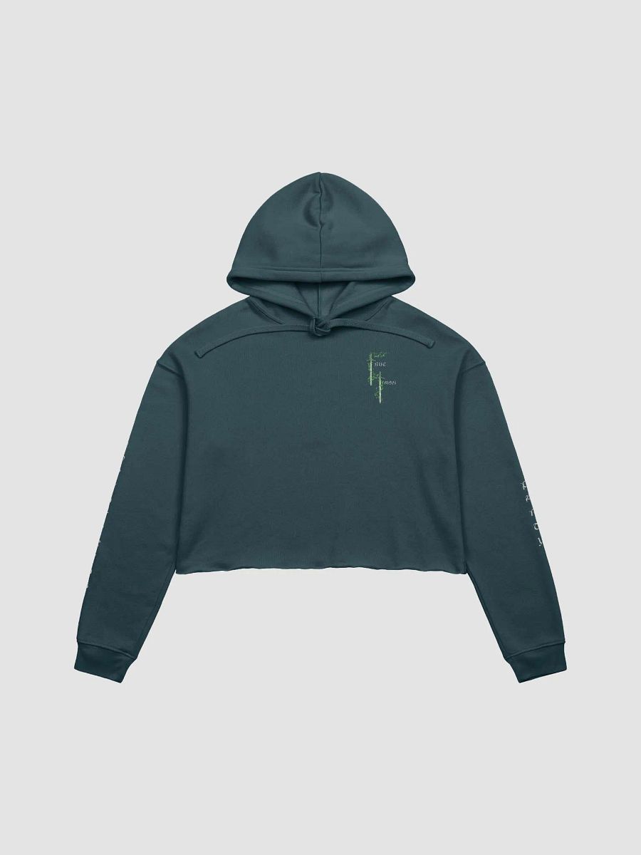 TrueTash Adventuring Party Crop Hoodie product image (1)