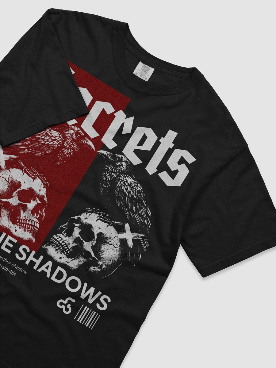 Secrets of the Shadows product image (3)