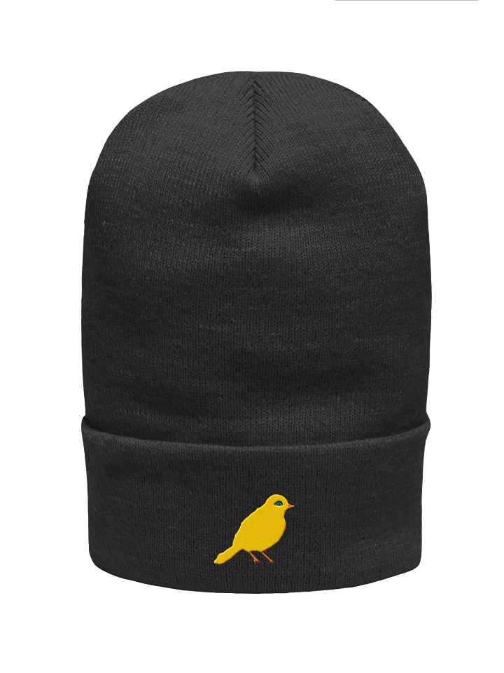 Jitterbird Embroidered Beanie product image (8)