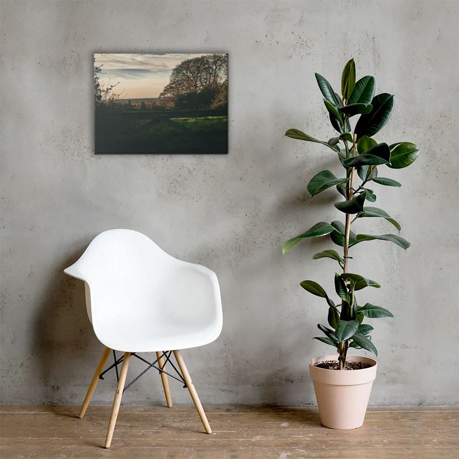 Coventry country walk product image (5)