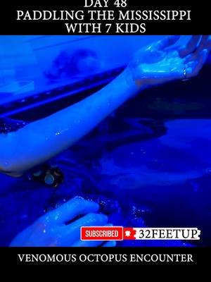 VENOMOUS OCTOPUS ENCOUNTER AT AQUARIUM #octopus #aquarium #venomous #family #adventure