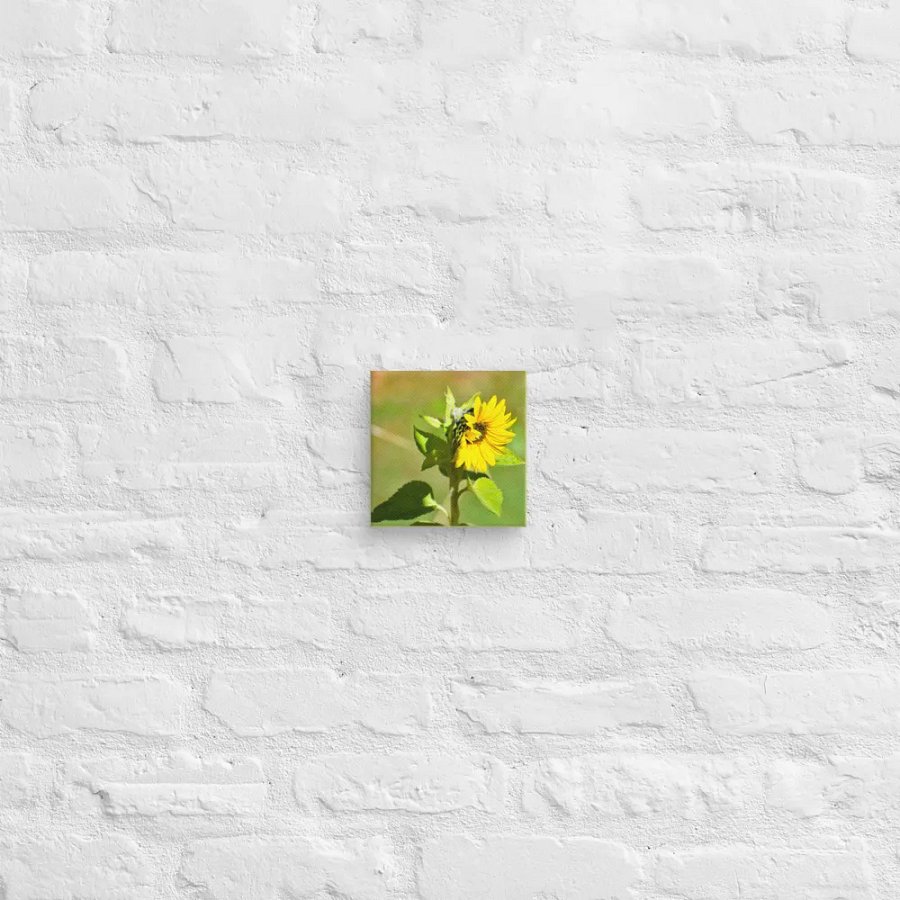 Canvas: Sunflower in early autumn product image (21)