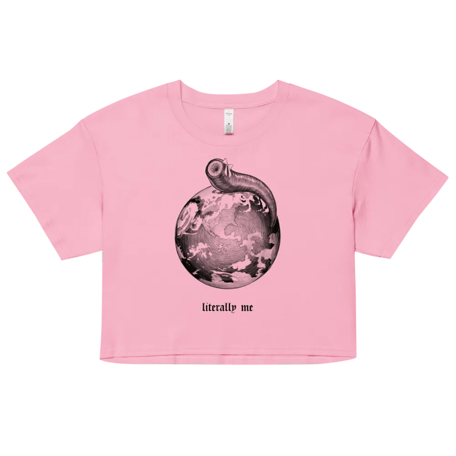 leech // cropped tee product image (1)