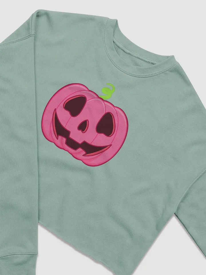 Pumpknnn crop sweatshirt product image (2)