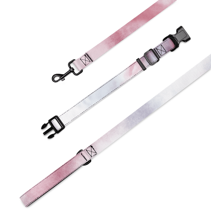 Whimsical Pet Collar & Leash Set product image (2)