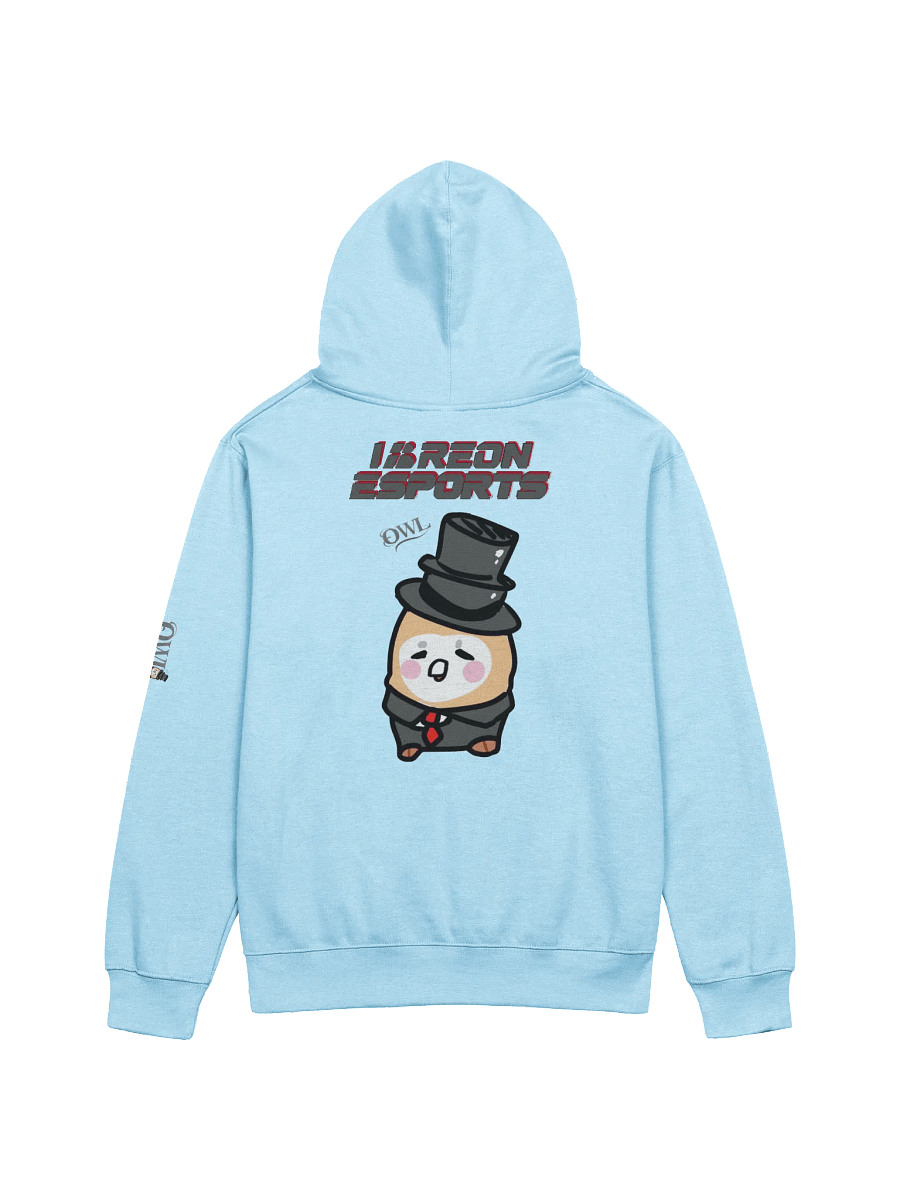 IBRN Owl Hoodie product image (17)