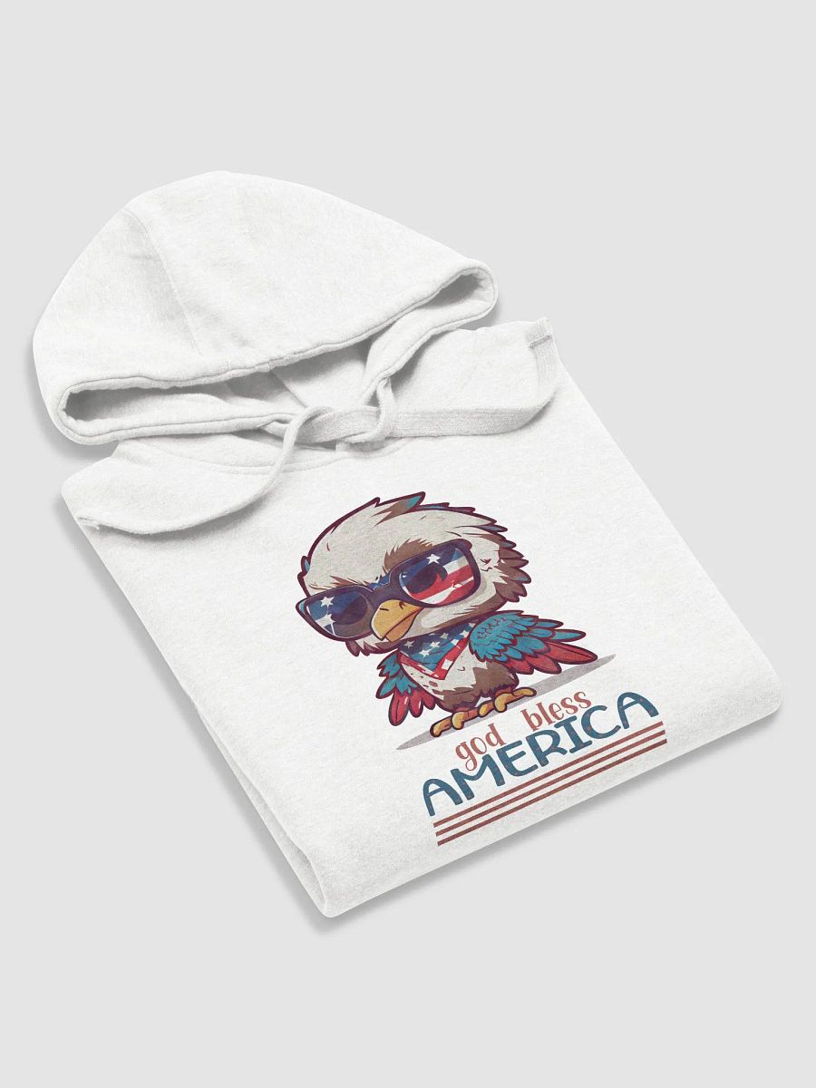 Eagle Valor Voter Hoodie product image (5)