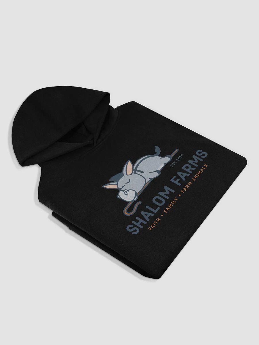AS Color Premium Oversize Hoodie Full Logo product image (4)