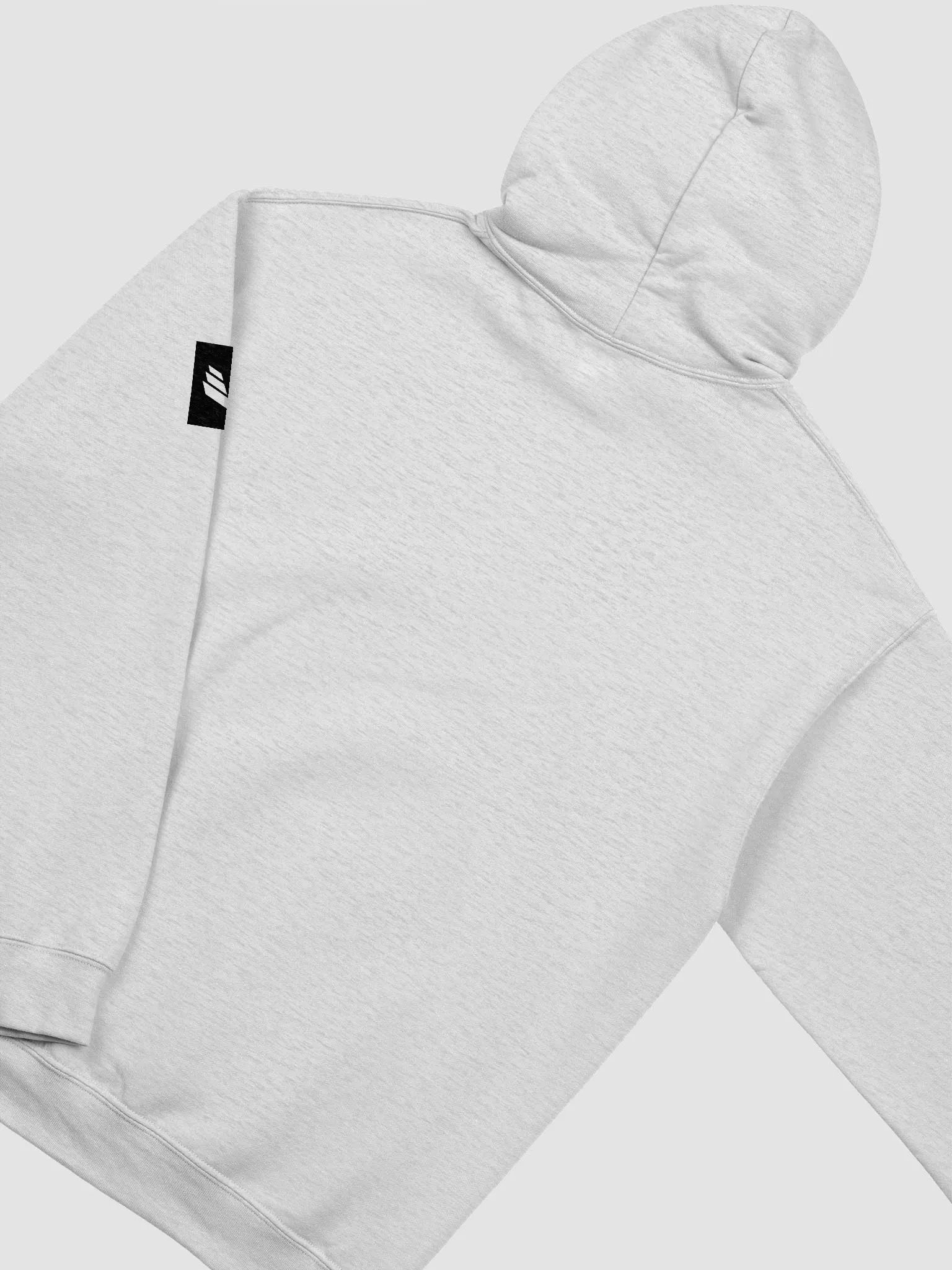 International Movement Hoodie - Light Gray product image (4)
