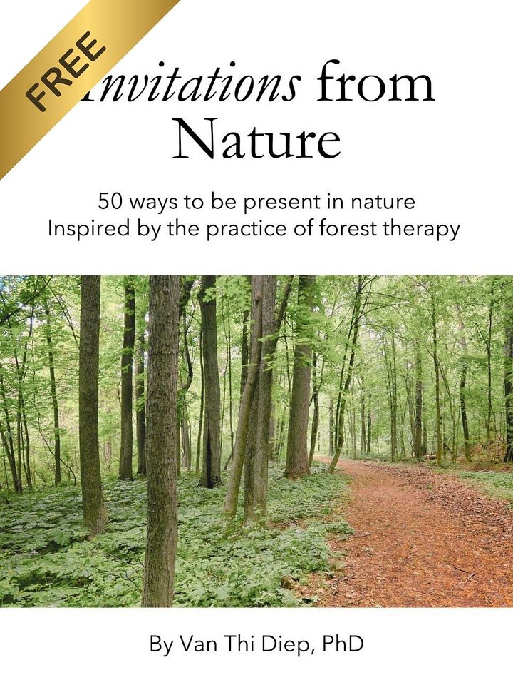 Invitations From Nature - Forest Therapy Inspired Card Deck (PDF Version) product image (1)