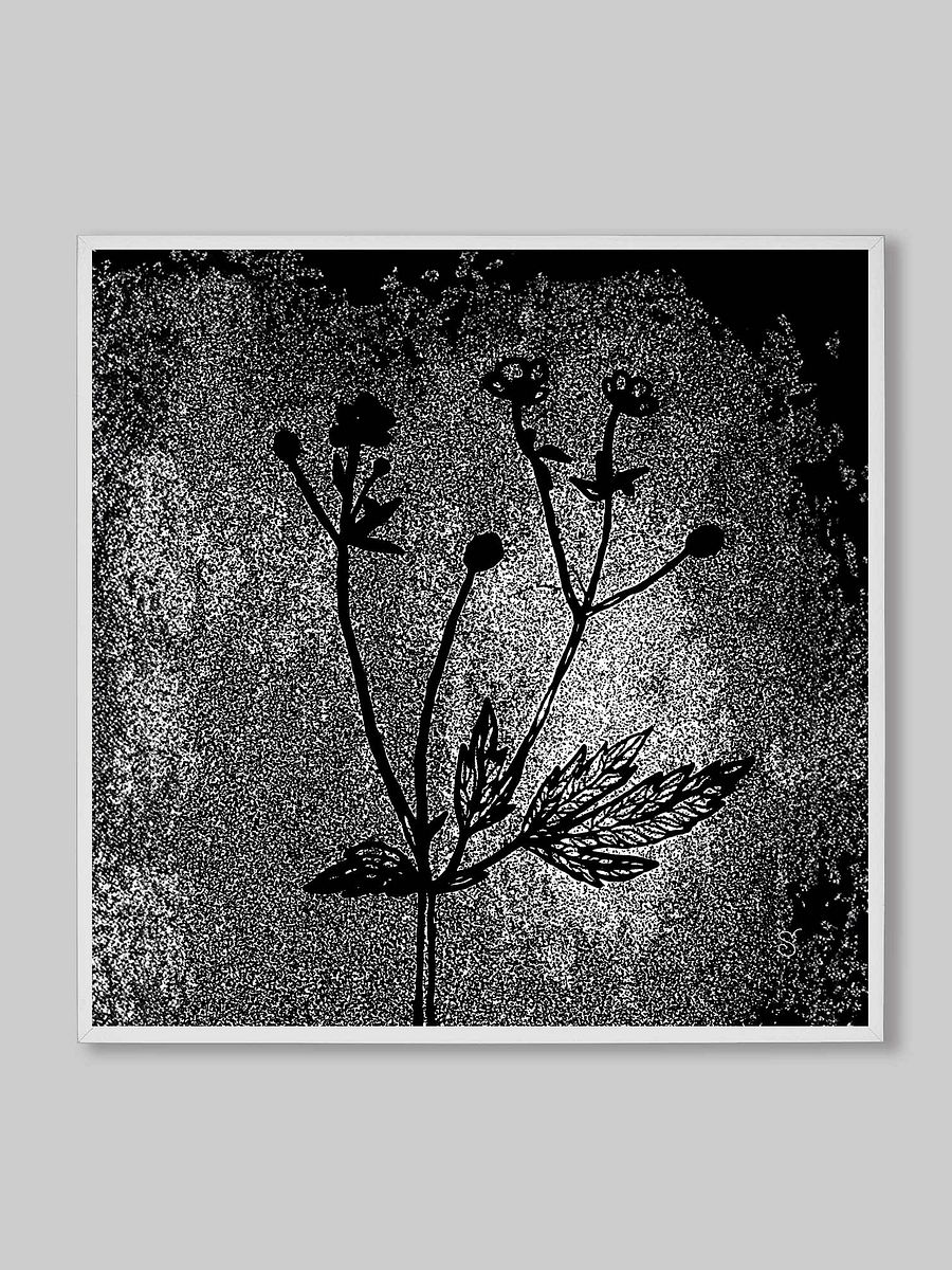 Visionary Canvas Collection - Wild Flowers Dark Stylish product image (11)