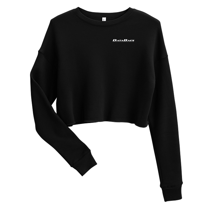 DataBaes Crop Sweatshirt product image (1)