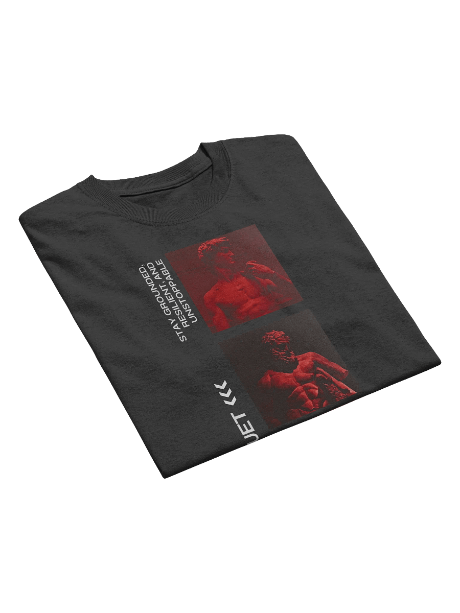 Offsetduet Sculpted Silhouettes Tee product image (4)