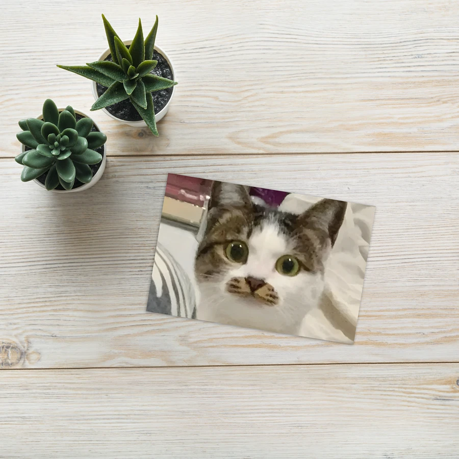 Greeting Card: Meme Cats product image (25)