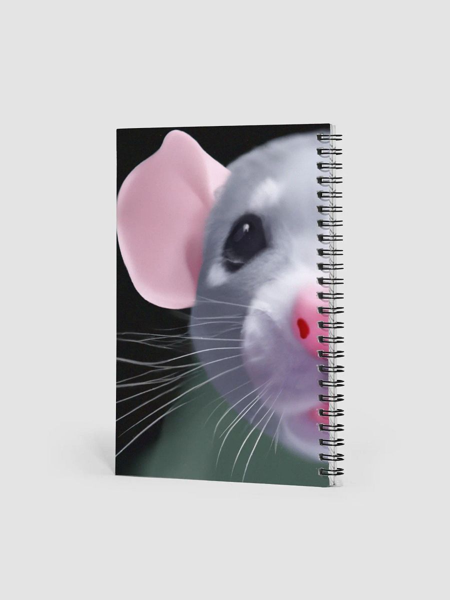 baby dumbo rat girl! diary product image (2)