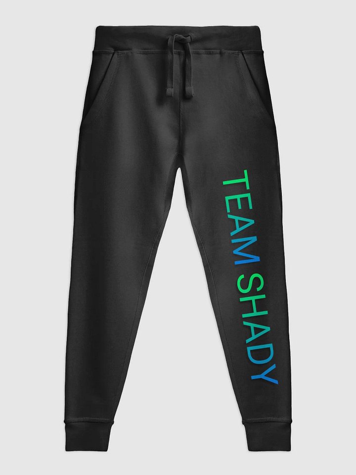 Team Shady Joggers product image (1)