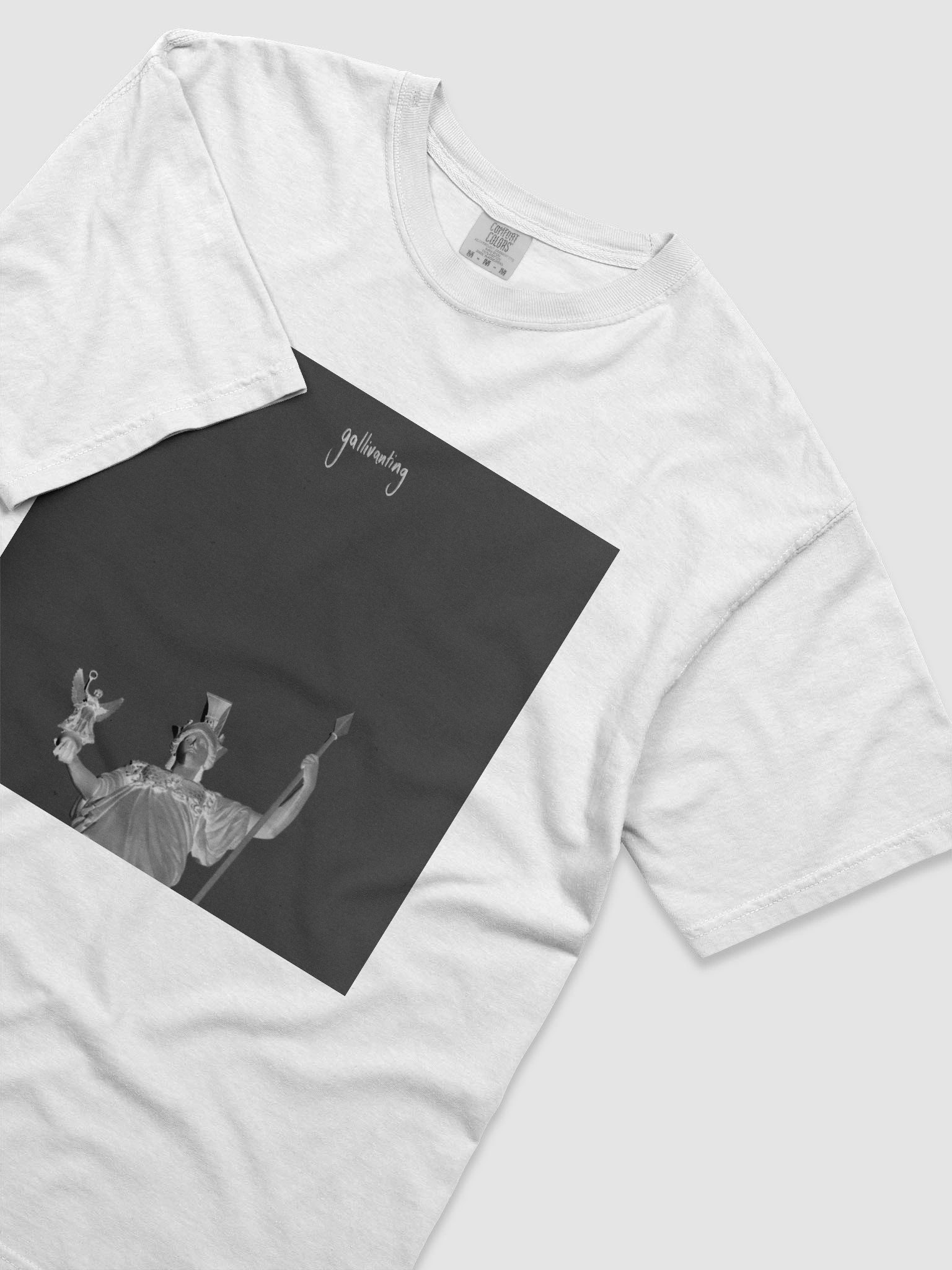 Gallivanting tee product image (3)