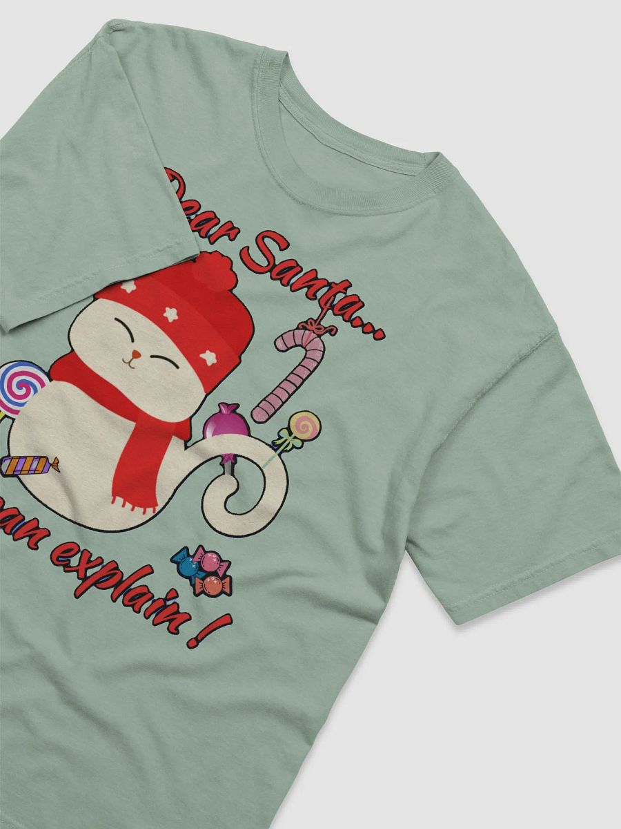 DEAR SANTA, I CAN EXPLAIN! product image (40)