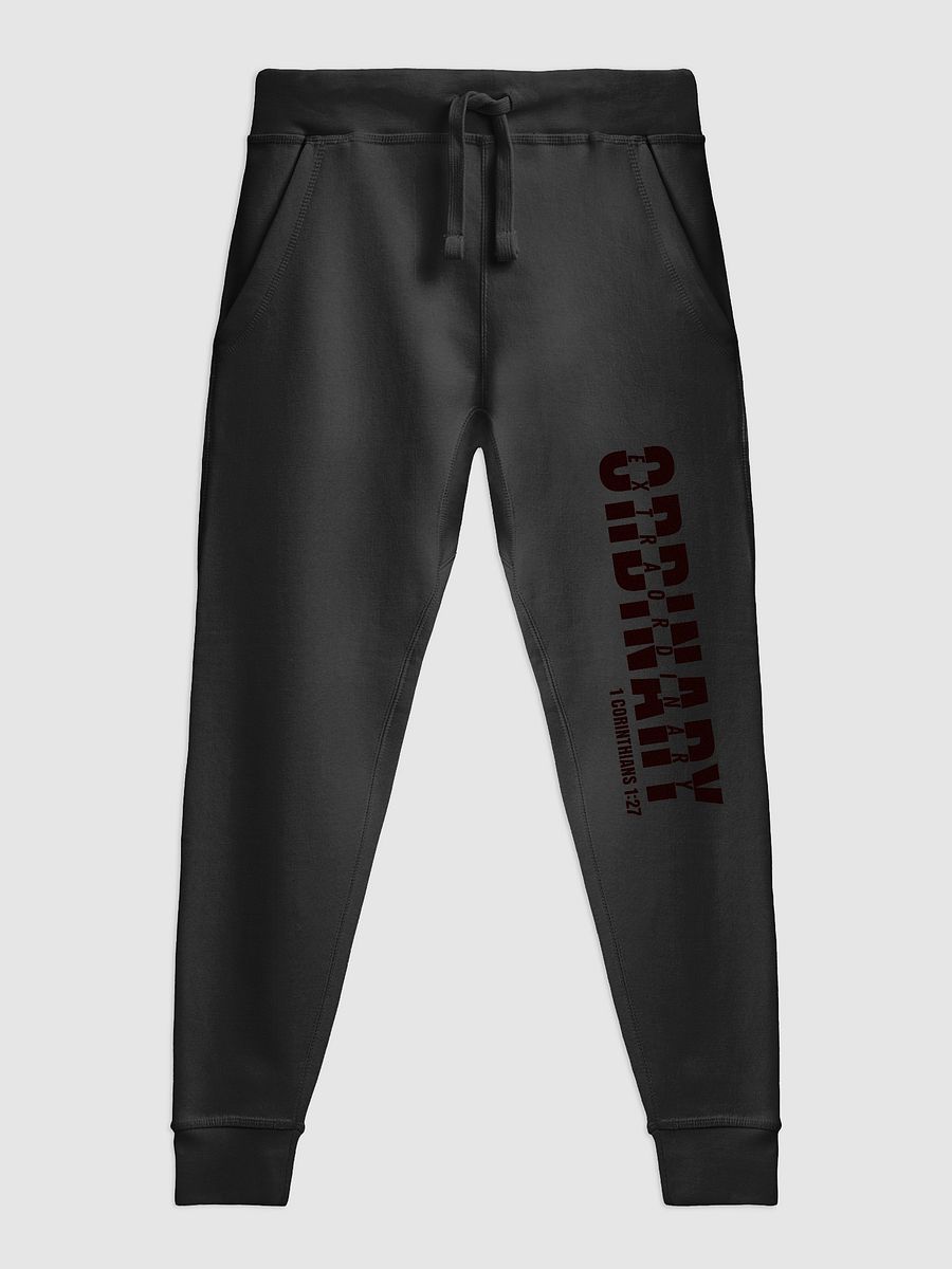 The Ordinary Joggers product image (2)