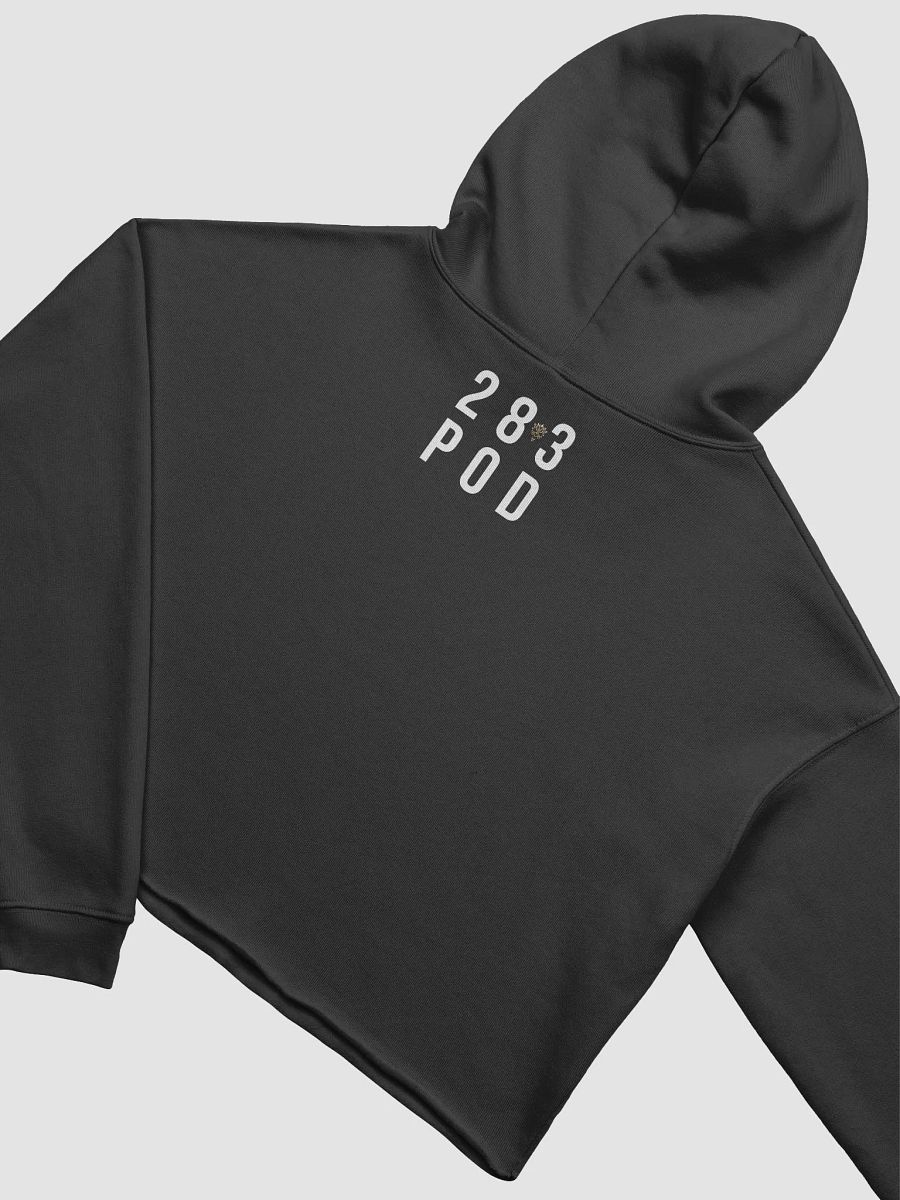 The 28 to 3 Podcast Fleece Crop Hoodie product image (4)