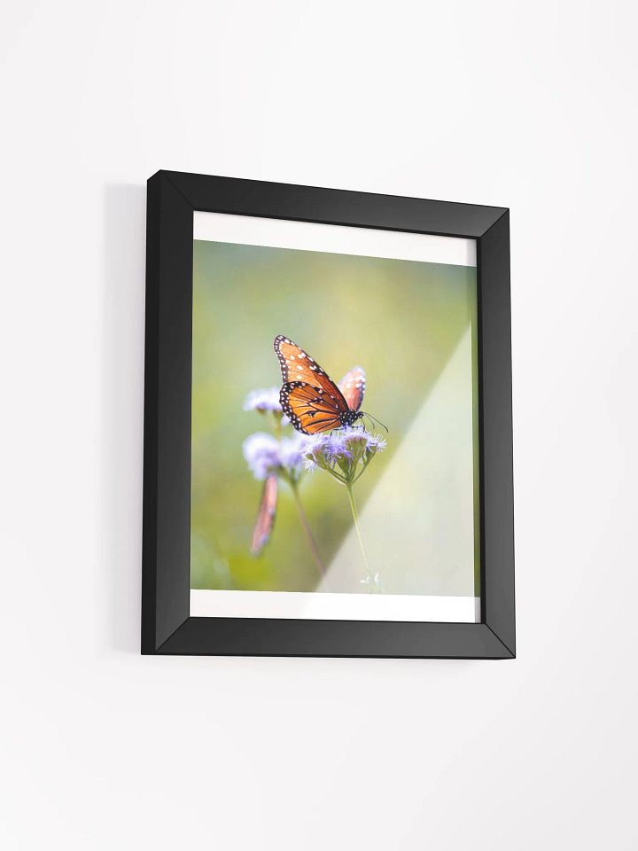Butterfly In Light product image (15)