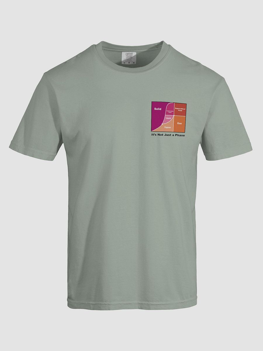 It's Not Just a Phase- Lesbian T Shirt product image (49)