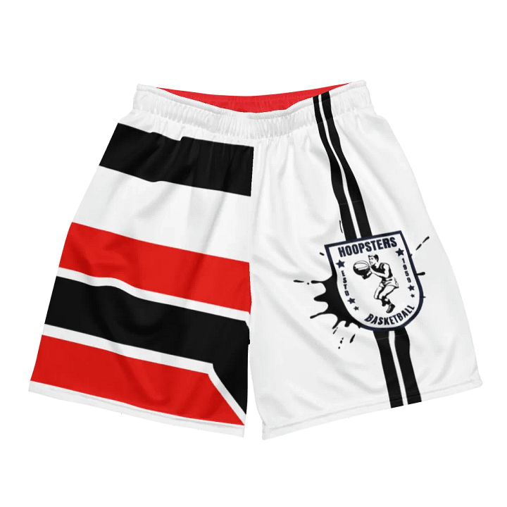 "Hoopsters Basketball" Tri-Color Athletic Shorts product image (1)