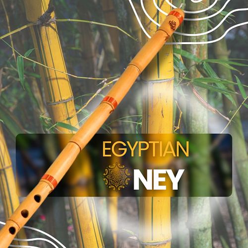 Chill Vibes with the Egyptian Ney: Your New Meditation Hack ❤️ 
The Egyptian ney is the ultimate tool for finding your zen. I...