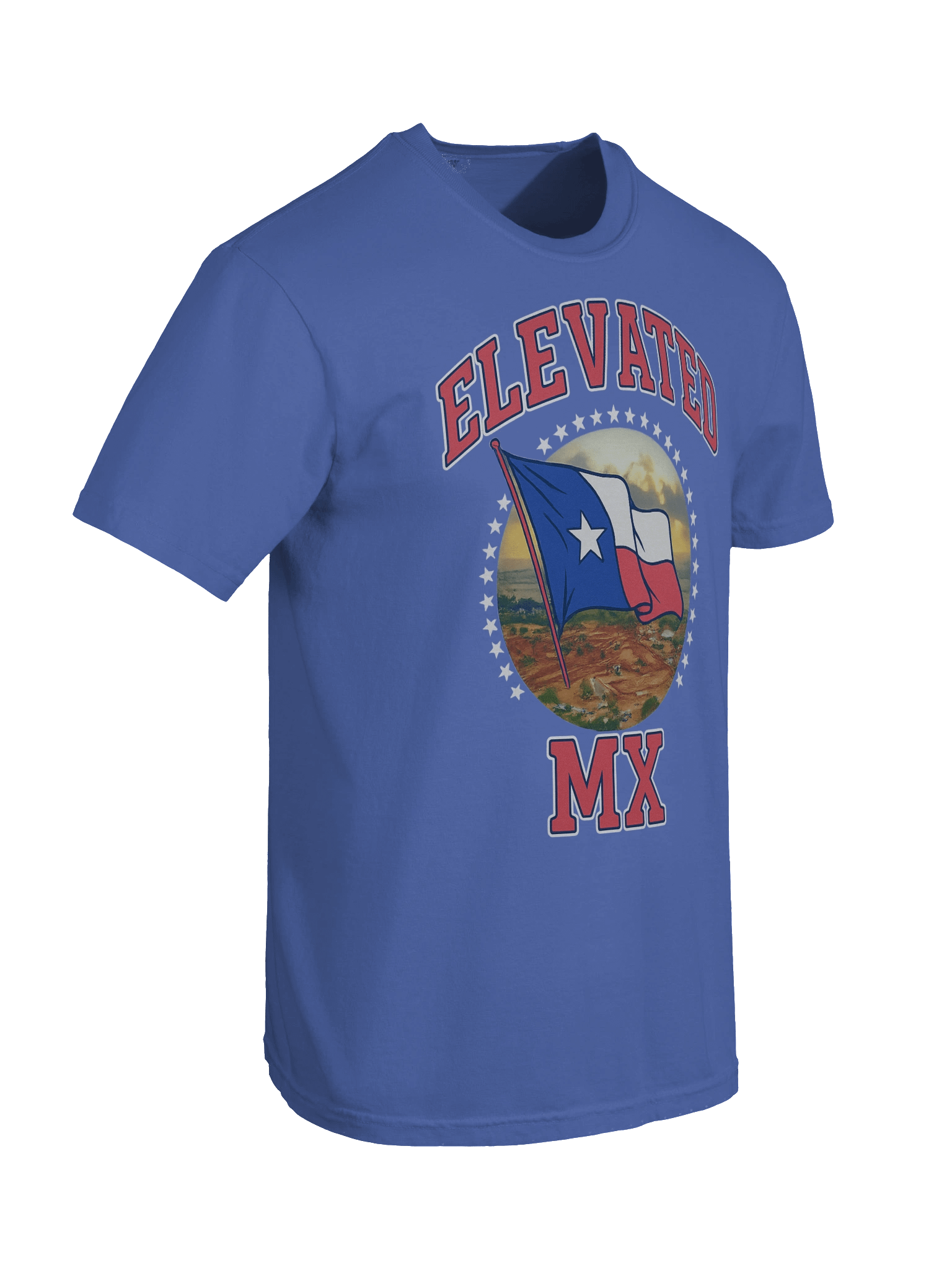 ELEVATED TEXAS TEE product image (38)