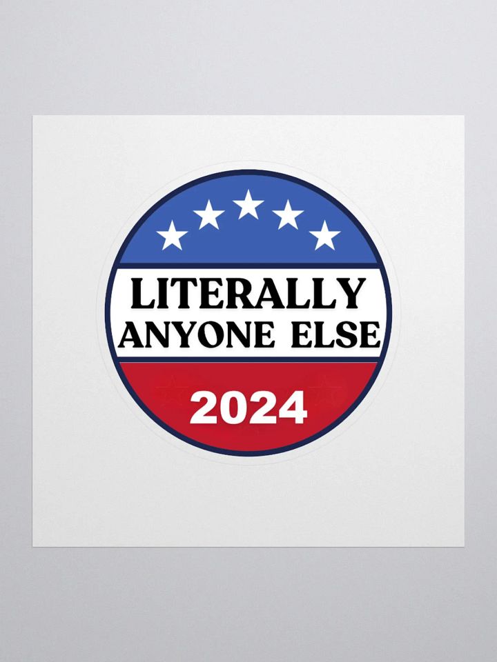 Literally Anyone Else 2024 Funny Election Sarcastic Political Humor Stickers product image (3)