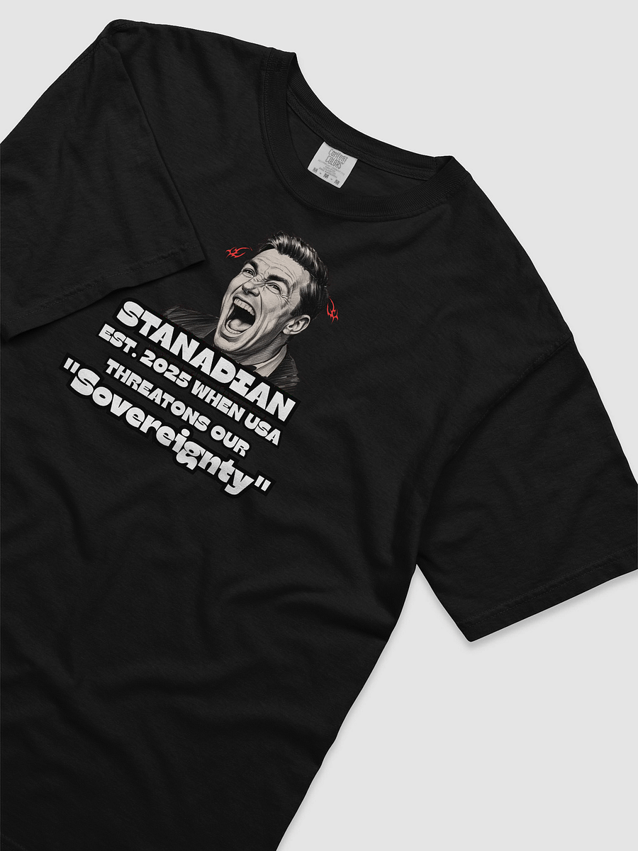 Stanadian Sovereignty Comedic Tee product image (29)