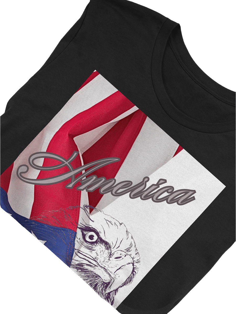 2025 American Pride Collection T- Shirt product image (30)