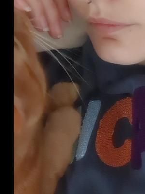 Cayenne is usually the loud one, but sometimes she can be sweet. #catsoftiktok #cattok #goodmorning #fyp #viral 