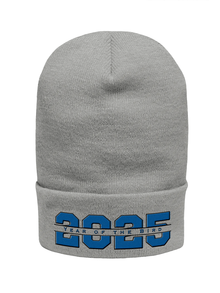 Blue "Year of the Bird" Beanie product image (2)